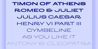 Larga Sans Low Font Poster 4